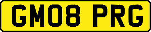 GM08PRG