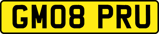 GM08PRU