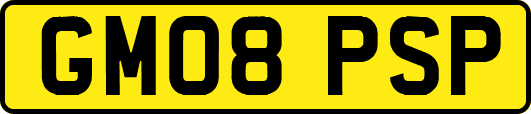 GM08PSP