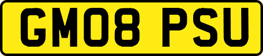 GM08PSU