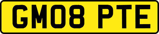 GM08PTE