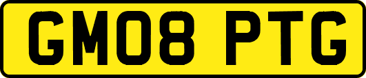 GM08PTG