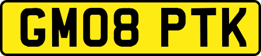 GM08PTK