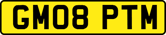 GM08PTM