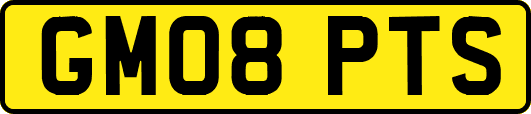 GM08PTS