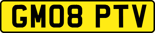 GM08PTV