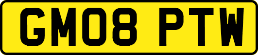 GM08PTW