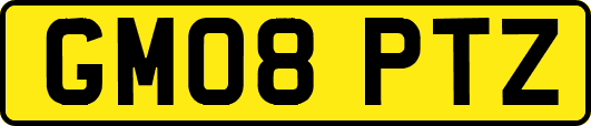 GM08PTZ