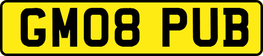 GM08PUB