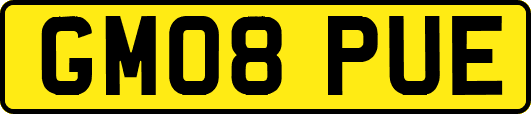 GM08PUE