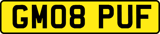 GM08PUF