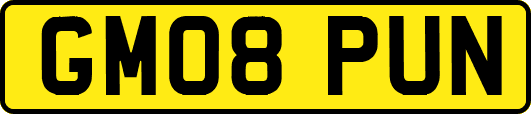 GM08PUN