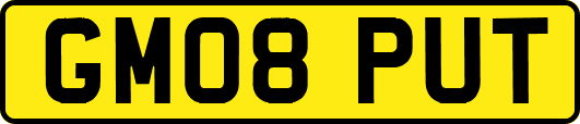 GM08PUT