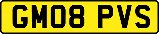 GM08PVS