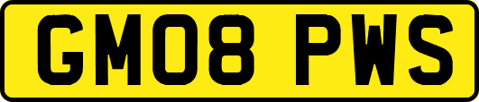 GM08PWS
