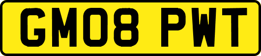 GM08PWT