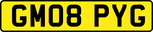 GM08PYG