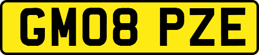 GM08PZE