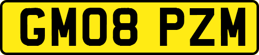 GM08PZM