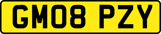 GM08PZY