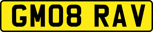 GM08RAV