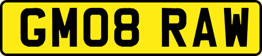 GM08RAW