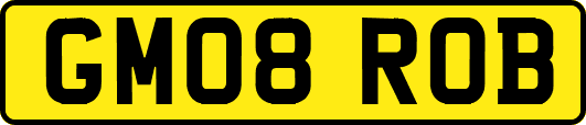 GM08ROB