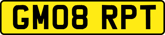 GM08RPT