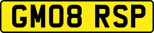 GM08RSP