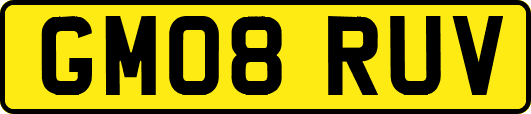 GM08RUV