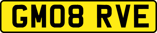 GM08RVE