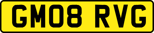 GM08RVG