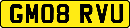 GM08RVU