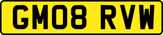 GM08RVW