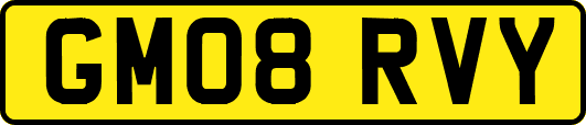GM08RVY