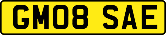 GM08SAE
