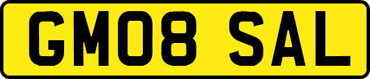 GM08SAL