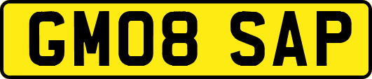 GM08SAP
