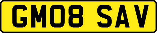 GM08SAV