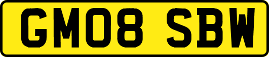 GM08SBW