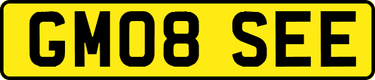 GM08SEE