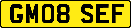 GM08SEF