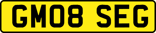 GM08SEG