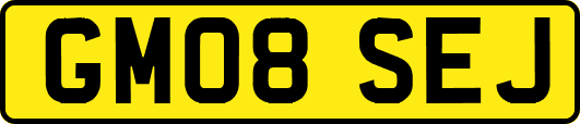 GM08SEJ