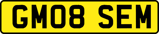 GM08SEM