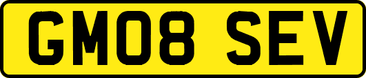 GM08SEV