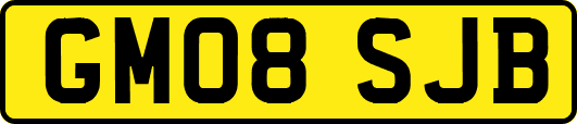 GM08SJB