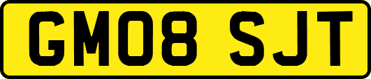 GM08SJT