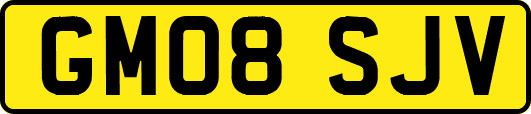 GM08SJV