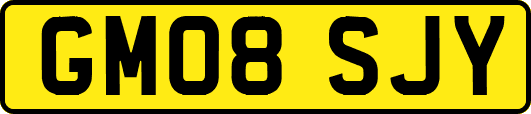 GM08SJY